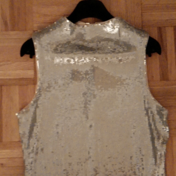 NWT Never Worn Sleeveless Silver Sequin Cocktail Cress! - Picture 9 of 15